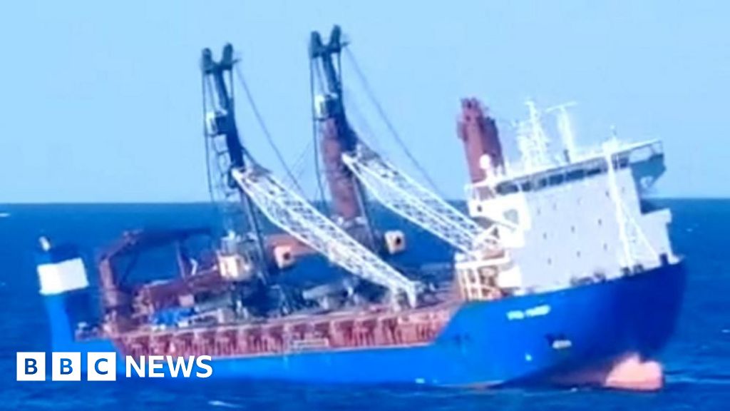 Russian Navy Will Ensure Safety of Merchant Vessels Without Arming Them