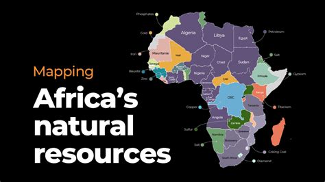 Africa Holds One-Third of World’s Natural Resources, Yet Development Remains Limited, Russia Reports
